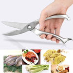 Kéo cắt xương gà cá gia cầm nhà bếp 10 inch bằng thép không gỉ, hộp quà tặng, hộp quà tặng