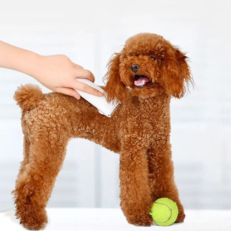 Máy cạo lông chuyên nghiệp Xiaomi Youpin Pawbby cho chó, Máy cắt lông điện an toàn sạc lại, Máy cạo lông chuyên nghiệp Pawbby cho chó