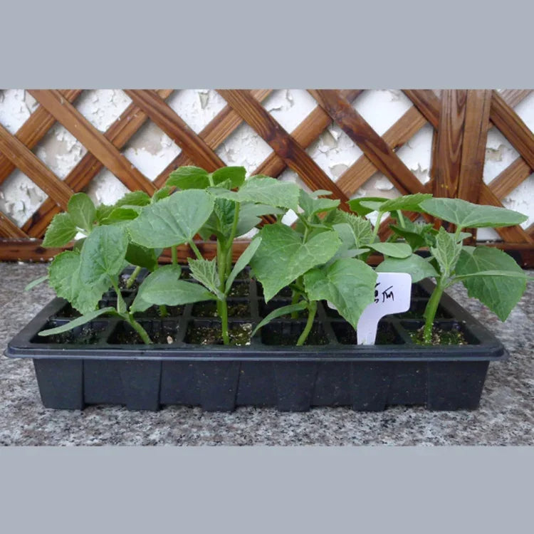 Bộ 2 khay ươm cây con 24 lỗ, khay ươm cây, nắp hộp cho làm vườn, bonsai, nhà kính mini, bộ 3 khay ươm
