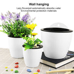 Chậu trồng cây tự tưới, chậu hoa nhựa resin treo tường hình tròn, kích thước: 13x8.5x13cm