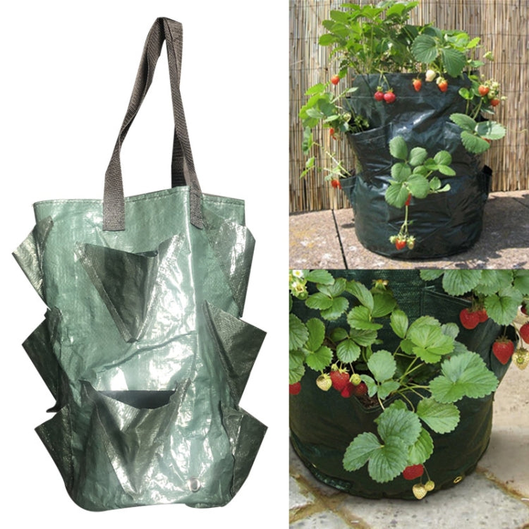 Túi trồng dâu tây CMD-3 dung tích 3 gallon, túi trồng cây PE treo, túi trồng hoa làm vườn