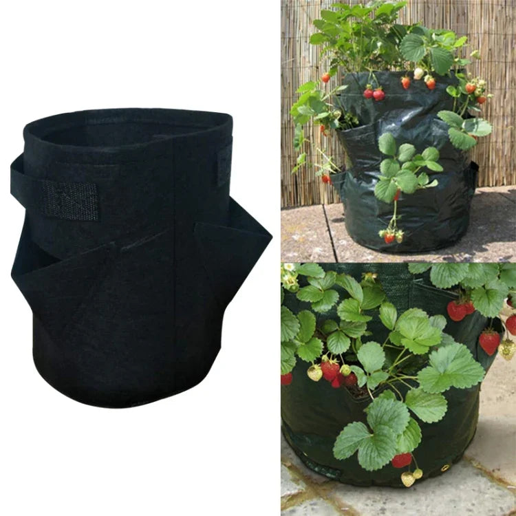 Túi trồng dâu tây 6 ngăn 26L / 7 gallon bằng vải không dệt, kích thước: 30X35cm