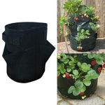 Túi trồng dâu tây 6 ngăn 26L / 7 gallon bằng vải không dệt, kích thước: 30X35cm
