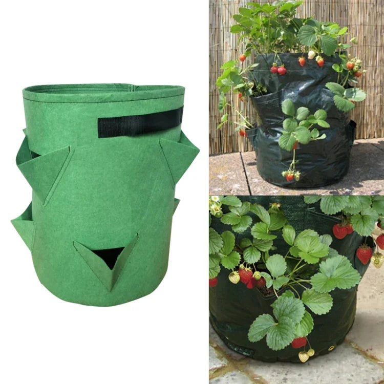 Túi trồng dâu tây 6 ngăn 26L / 7 gallon bằng vải không dệt, kích thước: 30X35cm