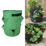 Túi trồng dâu tây 6 ngăn 26L / 7 gallon bằng vải không dệt, kích thước: 30X35cm