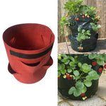 Túi trồng dâu tây 6 ngăn 26L / 7 gallon bằng vải không dệt, kích thước: 30X35cm