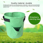 Túi trồng dâu tây 6 ngăn 26L / 7 gallon bằng vải không dệt, kích thước: 30X35cm