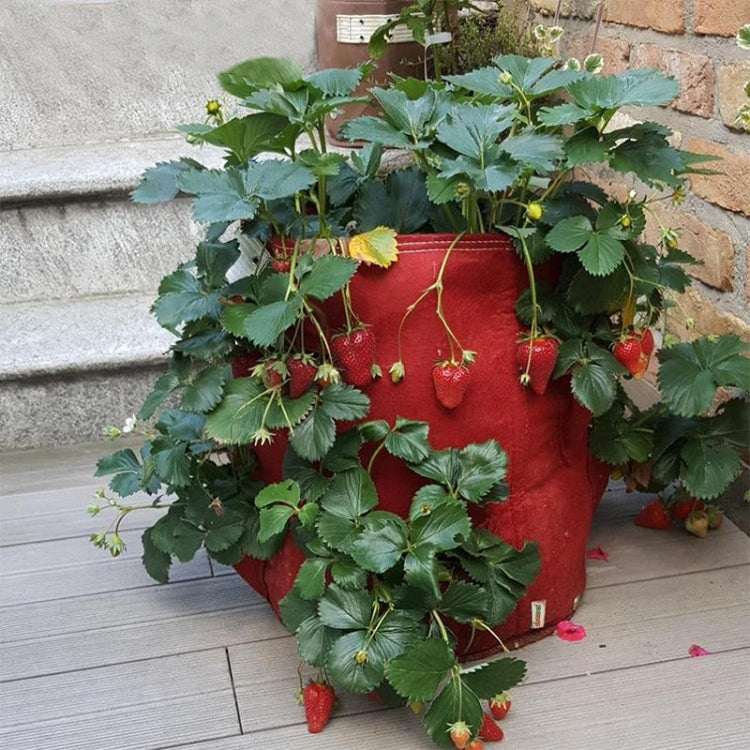 Túi trồng dâu tây 6 ngăn 26L / 7 gallon bằng vải không dệt, kích thước: 30X35cm