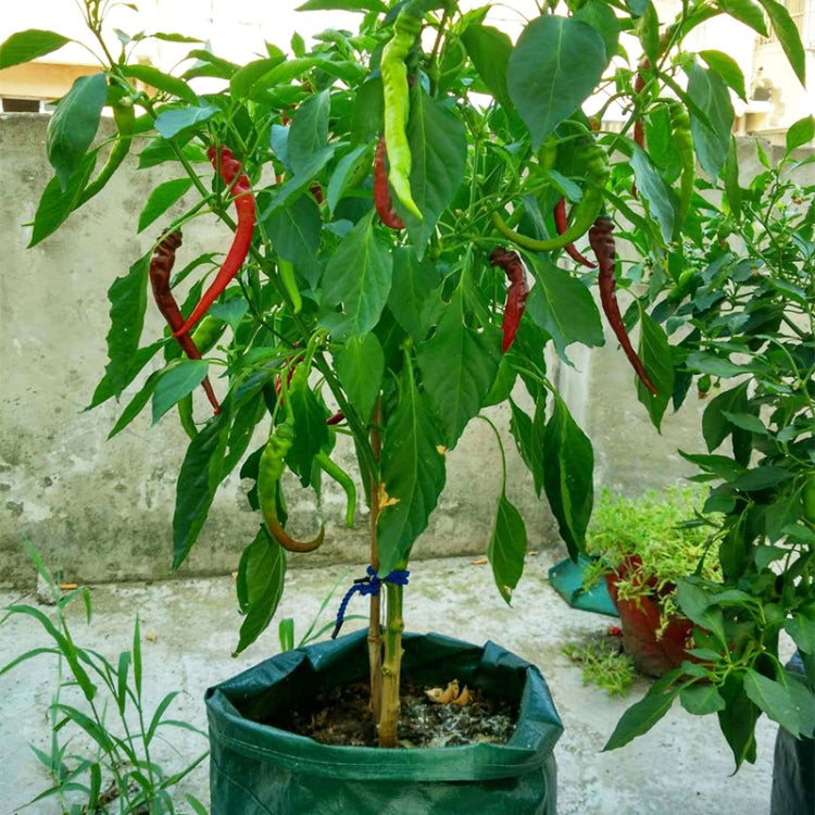 Túi trồng dâu tây 6 ngăn 26L / 7 gallon bằng vải không dệt, kích thước: 30X35cm