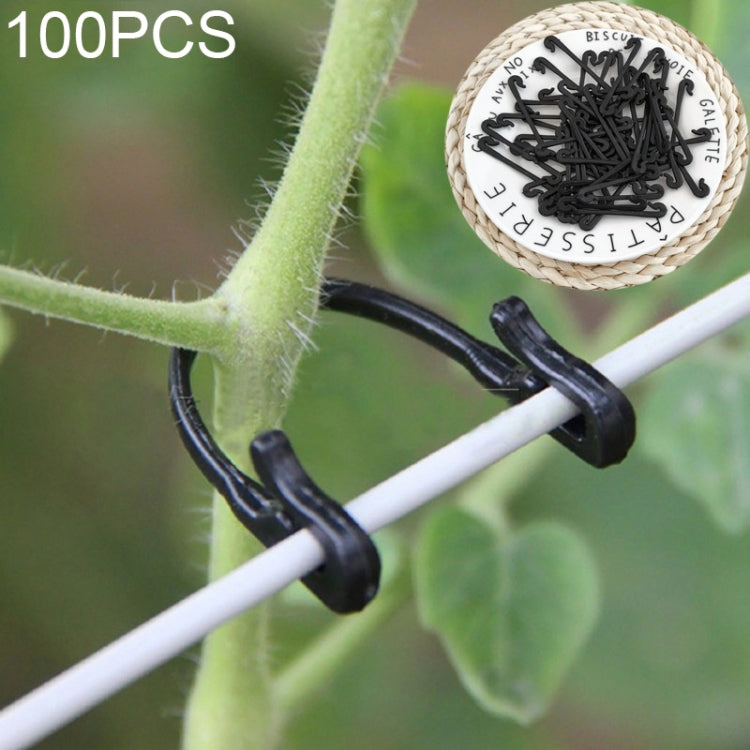100 cái / 2 gói dây buộc dây leo nho làm vườn