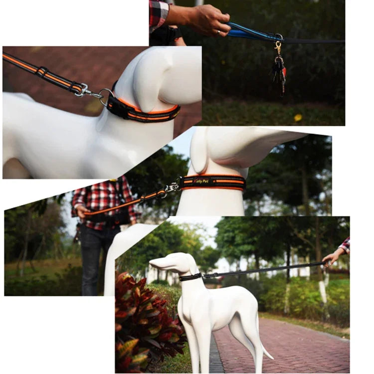 Dây dắt chó nylon phản quang ban đêm thoáng khí có tay cầm, Kích thước: M, Phạm vi điều chỉnh: 2.5*(100-140cm), Kích thước: M, Phạm vi điều chỉnh: 2.5*(100-140cm)