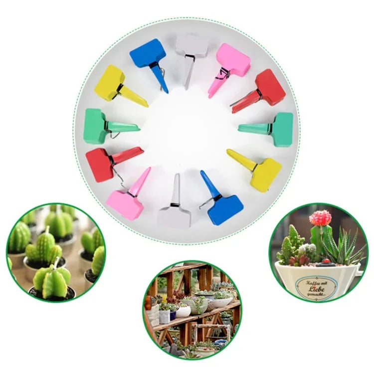 100 nhãn dán hoa, nhãn làm vườn loại T, nhãn cắm chậu, giao màu ngẫu nhiên, nhãn cây 4