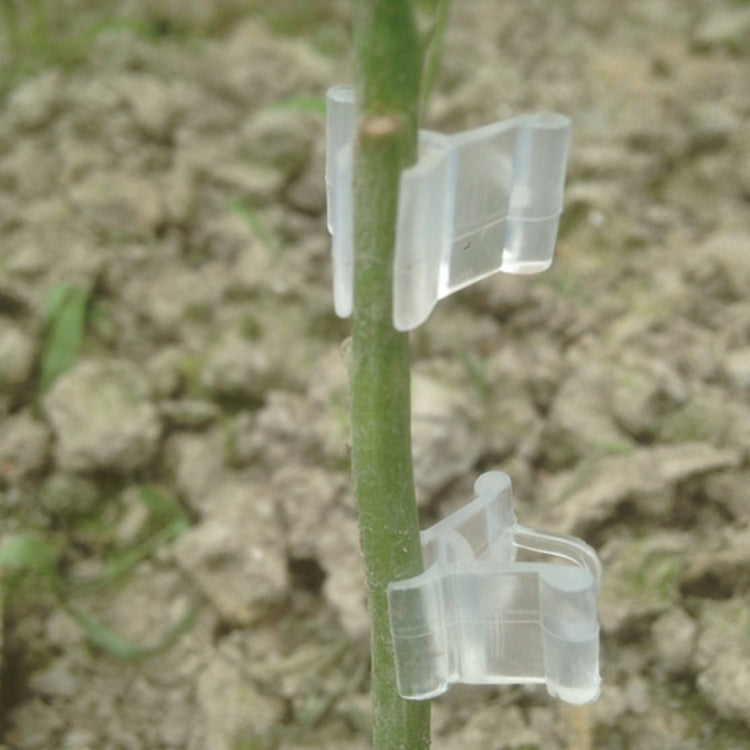 100 kẹp ghép cây nhựa trong suốt, kẹp ghép cây trồng, kẹp ghép cà chua, kẹp ghép cây