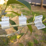100 kẹp ghép cây nhựa trong suốt, kẹp ghép cây trồng, kẹp ghép cà chua, kẹp ghép cây