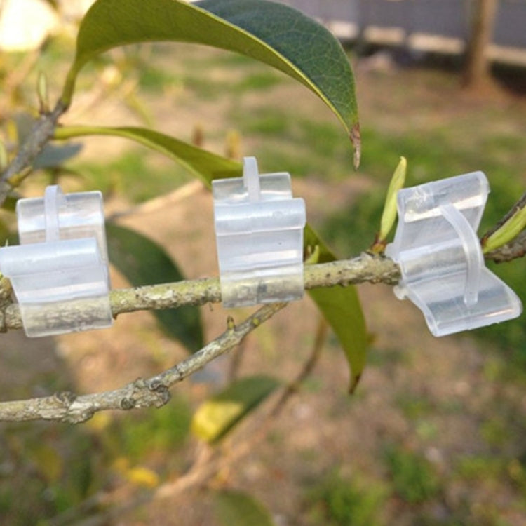 100 kẹp ghép cây nhựa trong suốt, kẹp ghép cây trồng, kẹp ghép cà chua, kẹp ghép cây