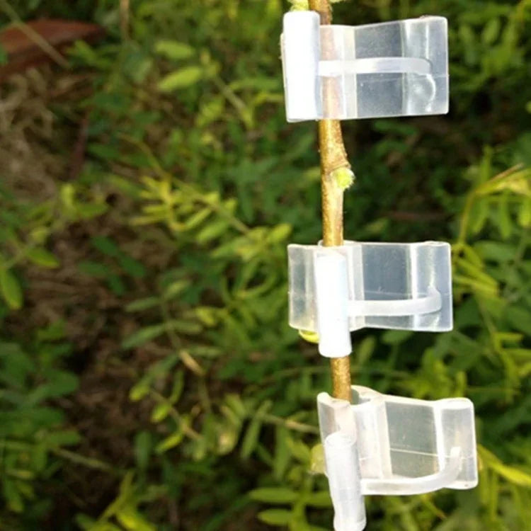 100 kẹp ghép cây nhựa trong suốt, kẹp ghép cây trồng, kẹp ghép cà chua, kẹp ghép cây