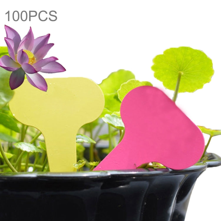 100 nhãn hoa làm vườn chống nước, thẻ nhỏ cắm nhãn chậu cây, giao màu ngẫu nhiên, nhãn cây 3