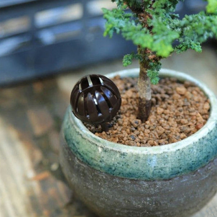 10 hộp phân bón bonsai dụng cụ làm vườn, kích thước lớn: 5.5*4*4cm, màu xanh lá cây