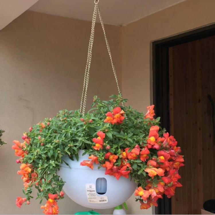 Chậu hoa nhựa treo chậu treo chậu hoa có dây xích treo, Kích thước lớn: 24 x 18cm, Giao màu ngẫu nhiên, Kích thước lớn