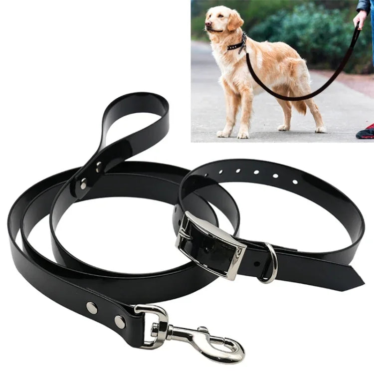 Dây kéo vòng cổ chó bằng chất liệu TPU, dây kéo co giãn có tay cầm, Kích thước: S, Chiều dài dây: 120 cm, Kích thước vòng cổ: 40 cm