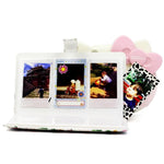 Album ảnh tinh tế 32 trang loại chèn sáng tạo DIY PU mini 3 inch họa tiết xương rồng hồng hạc cho Polaroid, xương rồng hồng hạc