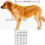 Dây dắt thú cưng polyester phản quang thoáng khí, vòng cổ thú cưng, Kích thước: S, 2.0*35*40cm, Kích thước: S, 2.0*35*40cm