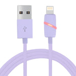 Cáp đồng bộ dữ liệu 1m kiểu hộp quà cuộn tròn 8 chân sang USB có đèn báo cho iPhone, iPad