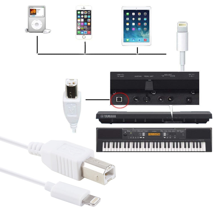 Cáp MIDI 1m 8 Pin sang Type-B đực cho đàn piano / đàn piano điện tử, 8 Pin