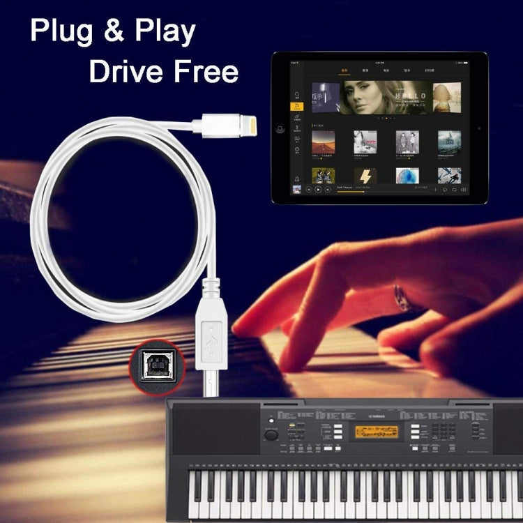 Cáp MIDI 1m 8 Pin sang Type-B đực cho đàn piano / đàn piano điện tử, 8 Pin