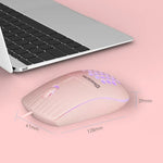 Chuột có dây khoét lỗ RGB giao diện Type-C MKESPN SXS-838, Type-C