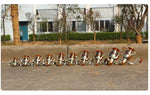 YUMOSHI Tay quay ổ bi bánh xe cần câu quay, EF1000, EF2000, EF3000, EF4000, EF5000, EF6000, EF7000, EF8000