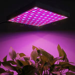 225 đèn LED ánh sáng nhà kính ánh sáng bể cá, AC 85-265V, 45W/SMD 2835