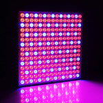 225 đèn LED ánh sáng nhà kính ánh sáng bể cá, AC 85-265V, 45W/SMD 2835