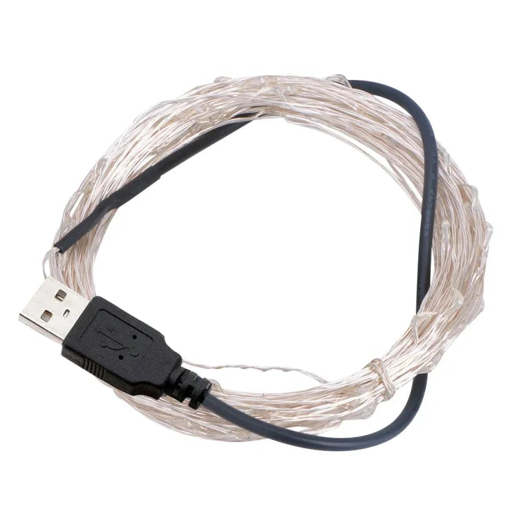 Đèn dây trang trí / đèn lễ hội SMD-0603 nguồn USB (ánh sáng trắng xanh), LED1001LG, LED1001LW