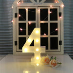 Dry Battery Powered Warm White Standing Hanging Holiday Light, LED6214A, LED6214B, LED6214C, LED6214D, LED6214E, LED6214F, LED6214G, LED6214H, LED6214J, LED6214K