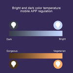 Đèn 14 LED 3000K+RGB 1050 LM tương thích Alexa & Google Home, AC 230V