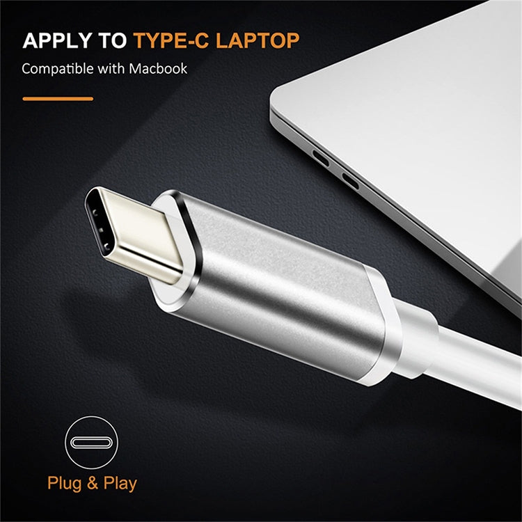 Bộ chuyển đổi USB-C / Type-C 3.1 đực sang DP cái HD, chiều dài: 12cm