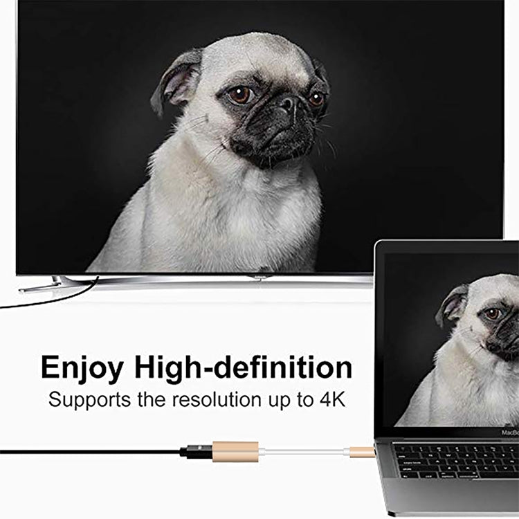 Bộ chuyển đổi USB-C / Type-C 3.1 đực sang Mini DP cái HD, chiều dài: 12cm, màu bạc, vàng