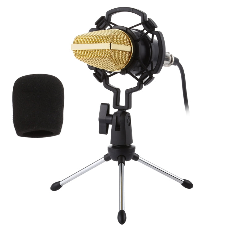 Micro condenser chuyên nghiệp BM-700 USB