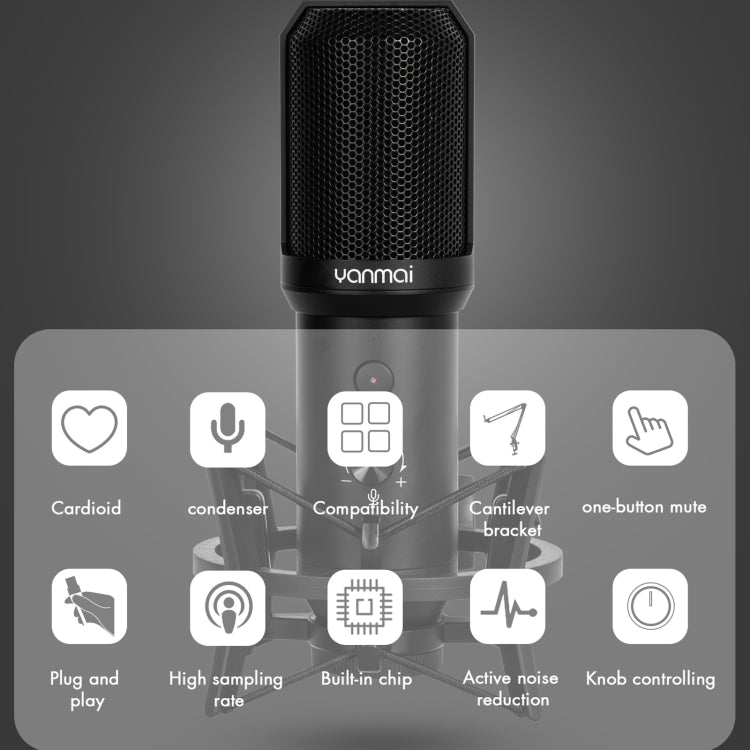 Bộ micro thu âm USB Yanmai Q10B, Q10B