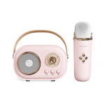 Loa Karaoke Bluetooth Đa Năng C20 Plus Kèm Micro