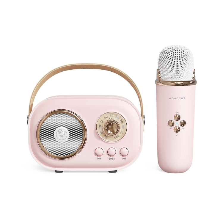 Loa Karaoke Bluetooth Đa Năng C20 Plus Kèm Micro