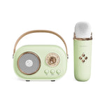 Loa Karaoke Bluetooth Đa Năng C20 Plus Kèm Micro