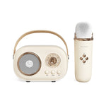 Loa Karaoke Bluetooth Đa Năng C20 Plus Kèm Micro