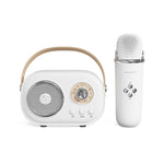 Loa Karaoke Bluetooth Đa Năng C20 Plus Kèm Micro