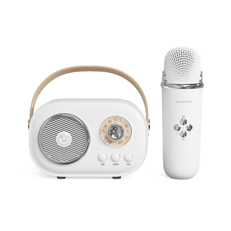 Loa Karaoke Bluetooth Đa Năng C20 Plus Kèm Micro