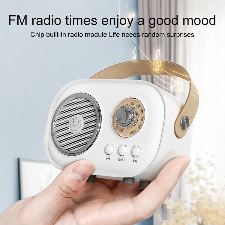 Loa Karaoke Bluetooth Đa Năng C20 Plus Kèm Micro