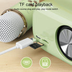 Loa Karaoke Bluetooth Đa Năng C20 Plus Kèm Micro