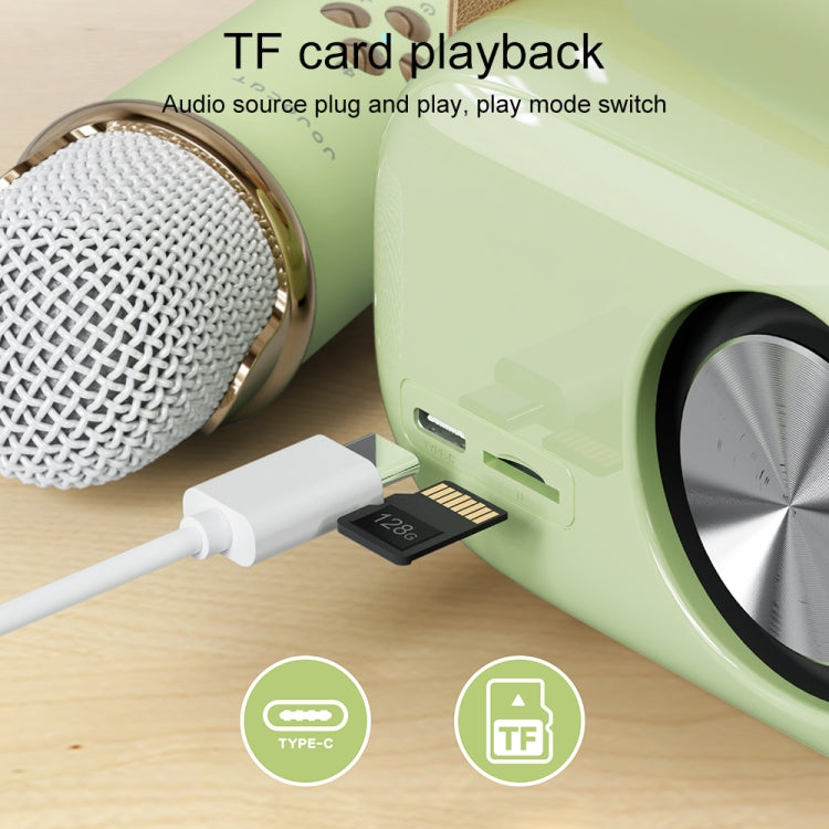 Loa Karaoke Bluetooth Đa Năng C20 Plus Kèm Micro
