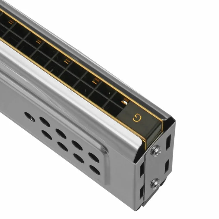 Harmonika đa âm 24 lỗ hai mặt Swan SW24-12A dành cho người mới bắt đầu, người lớn và trẻ em biểu diễn, SW24-12A harmonika đa âm 24 lỗ